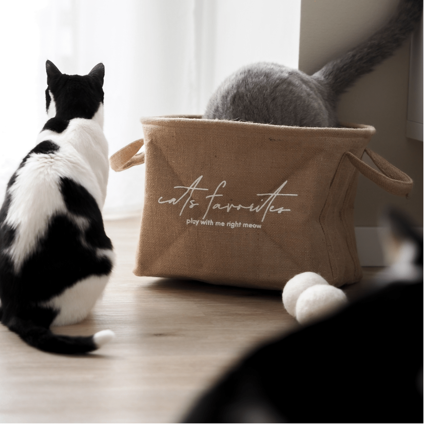 Katzenspielzeug Box Spielzeug für Katzen 