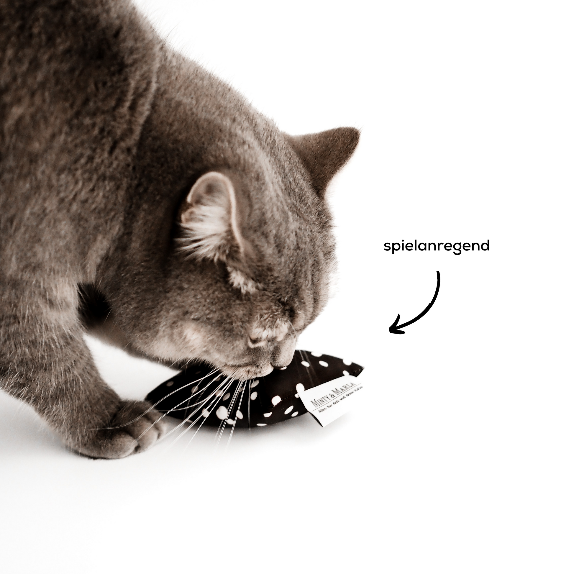 Katze spielt mit Katzenspielzeug aus Katzenminze.