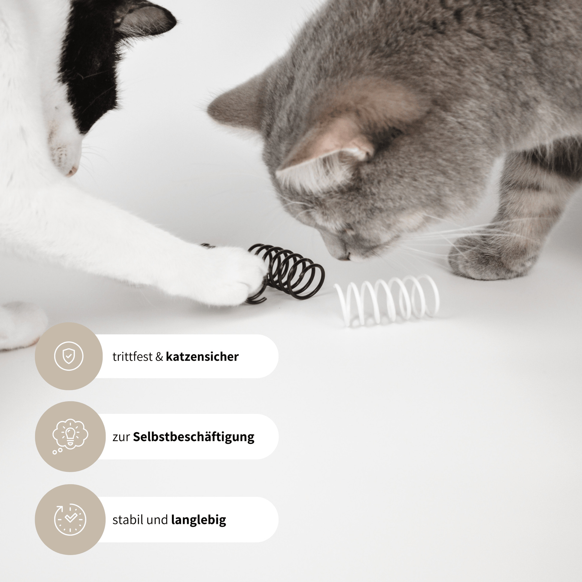 Spiralen schönes Spielzeug für Katzen zur Selbstbeschäftigung