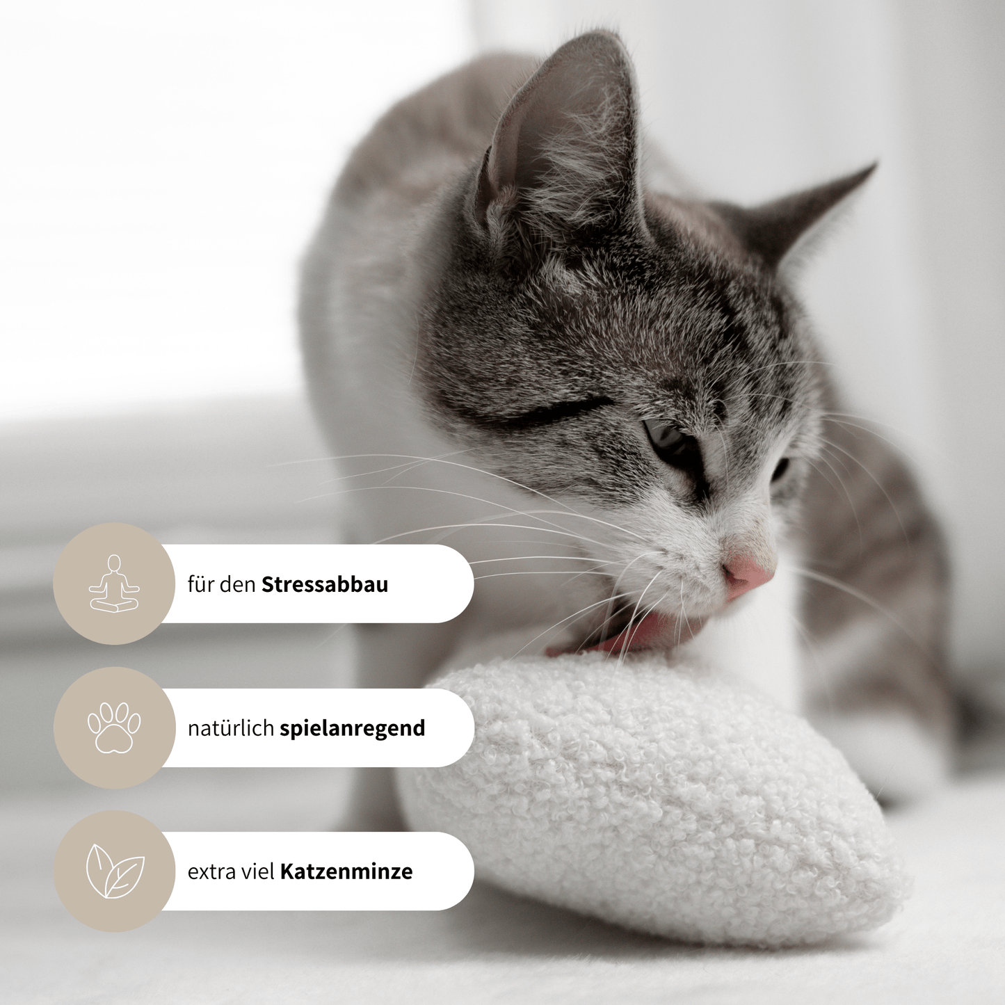 Spielzeug für Katzen aus weißem Teddystoff Spielkissen spielanregend mit Katzenminze