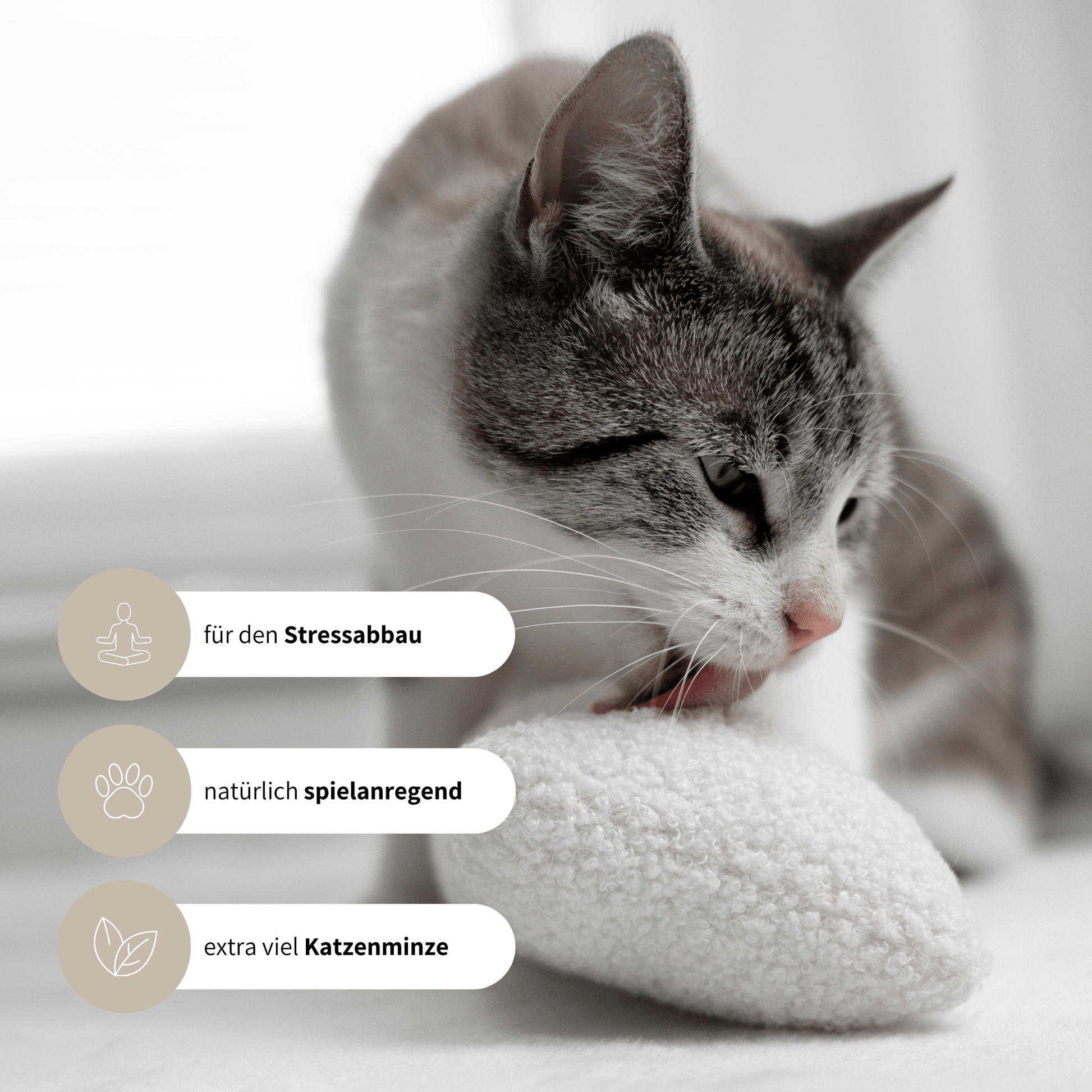 Spielzeug für Katzen aus weißem Teddystoff Spielkissen spielanregend mit Katzenminze