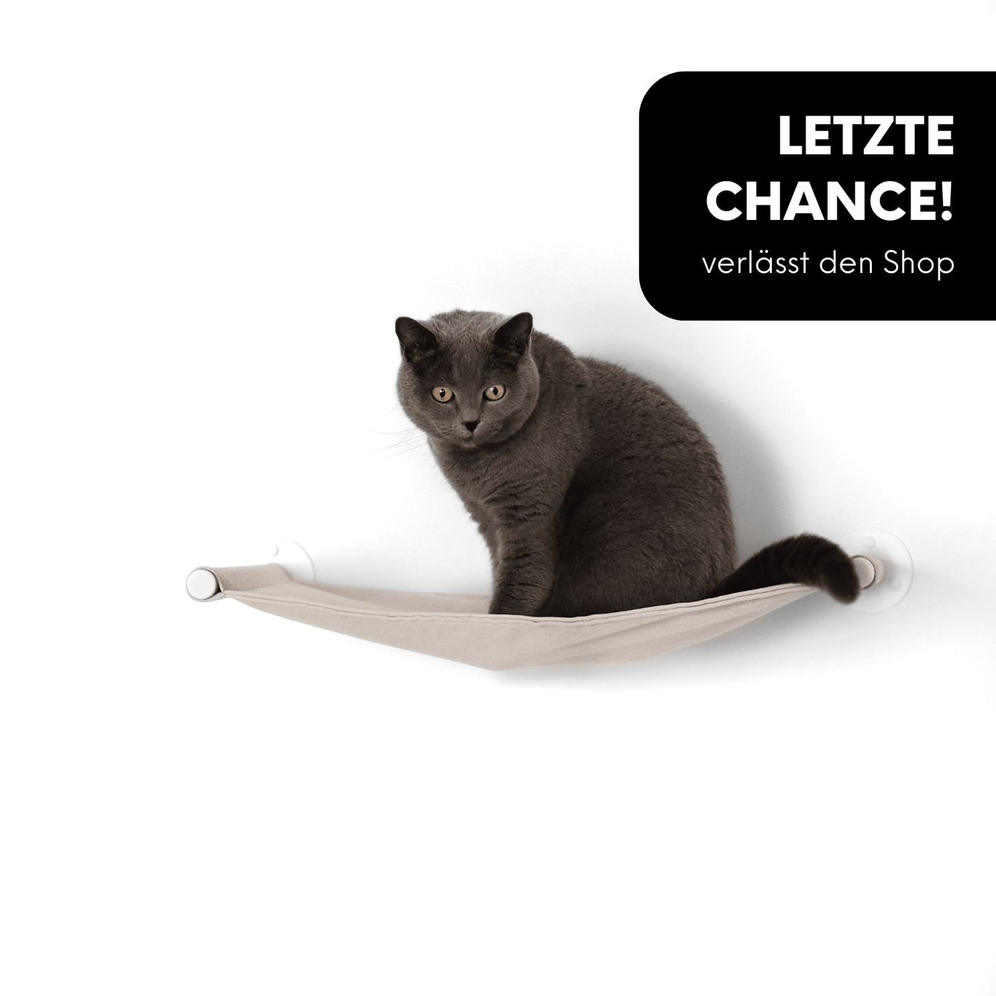 HÄNGEMATTE für Katzen