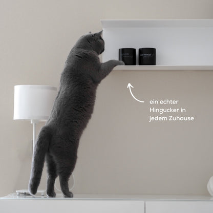 Tassen für Katzenliebhaber für ein schönes Zuhause mit Katzen