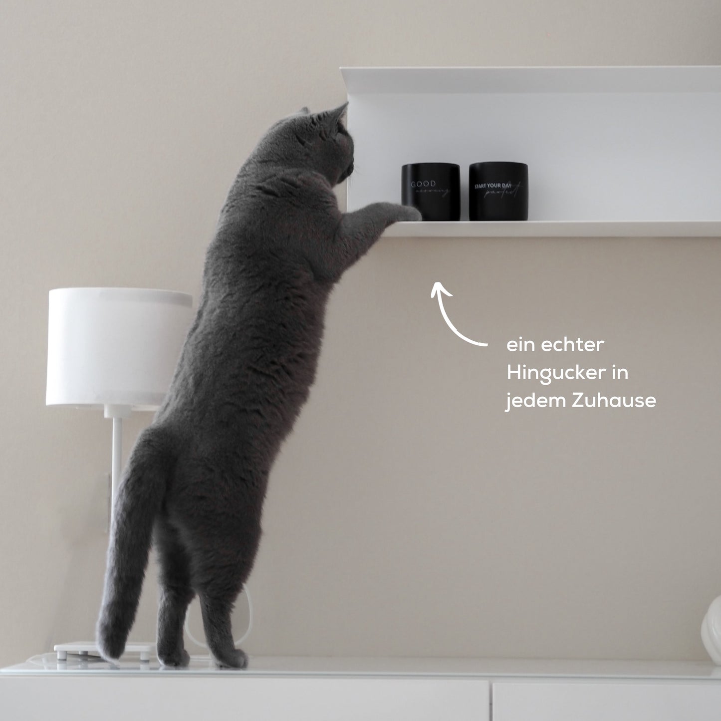 Tassen mit Katzensprüchen für ein schönes Zuhause mit Katzen