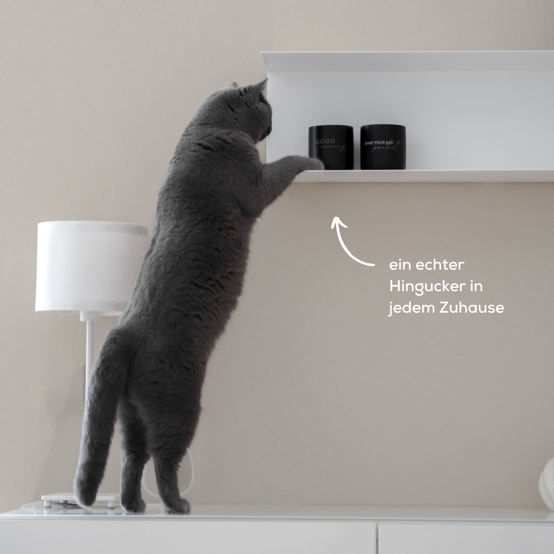 Tassen mit Katzensprüchen für ein schönes Zuhause mit Katzen