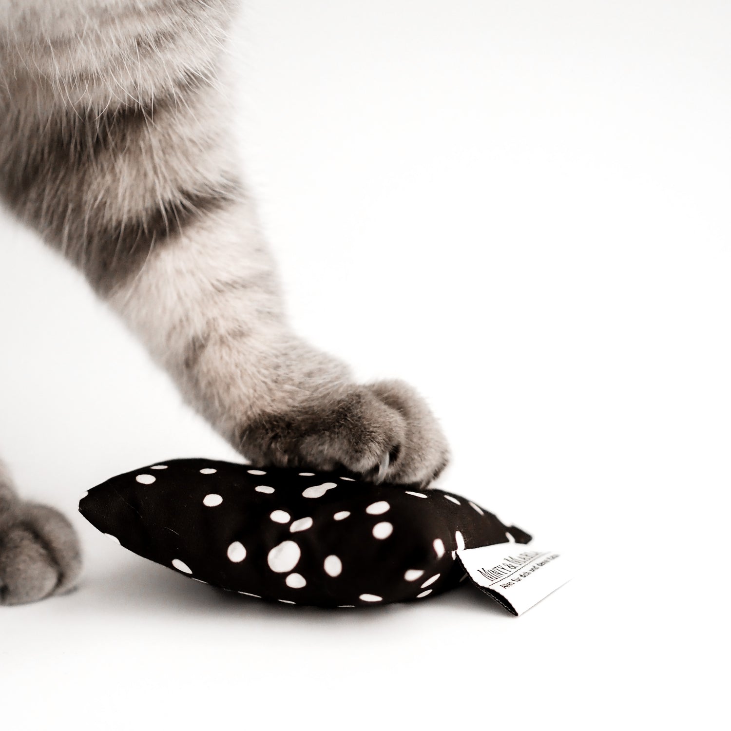 Eine grau getigerte Katze hat ihre Pfote auf einem schwarzen Katzenminzekissen mit weißen Punkten abgestellt.