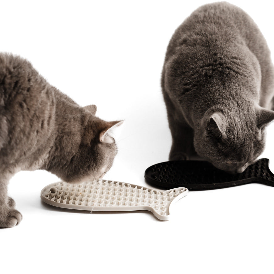 Zwei Katzen schlecken an einer schwarzen und einer beigen Schleckmatte für Katzen.