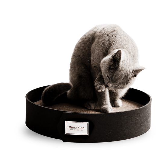 Eine graue Katze putzt sich auf einem schwarzen Kratzbrett für Katzen.