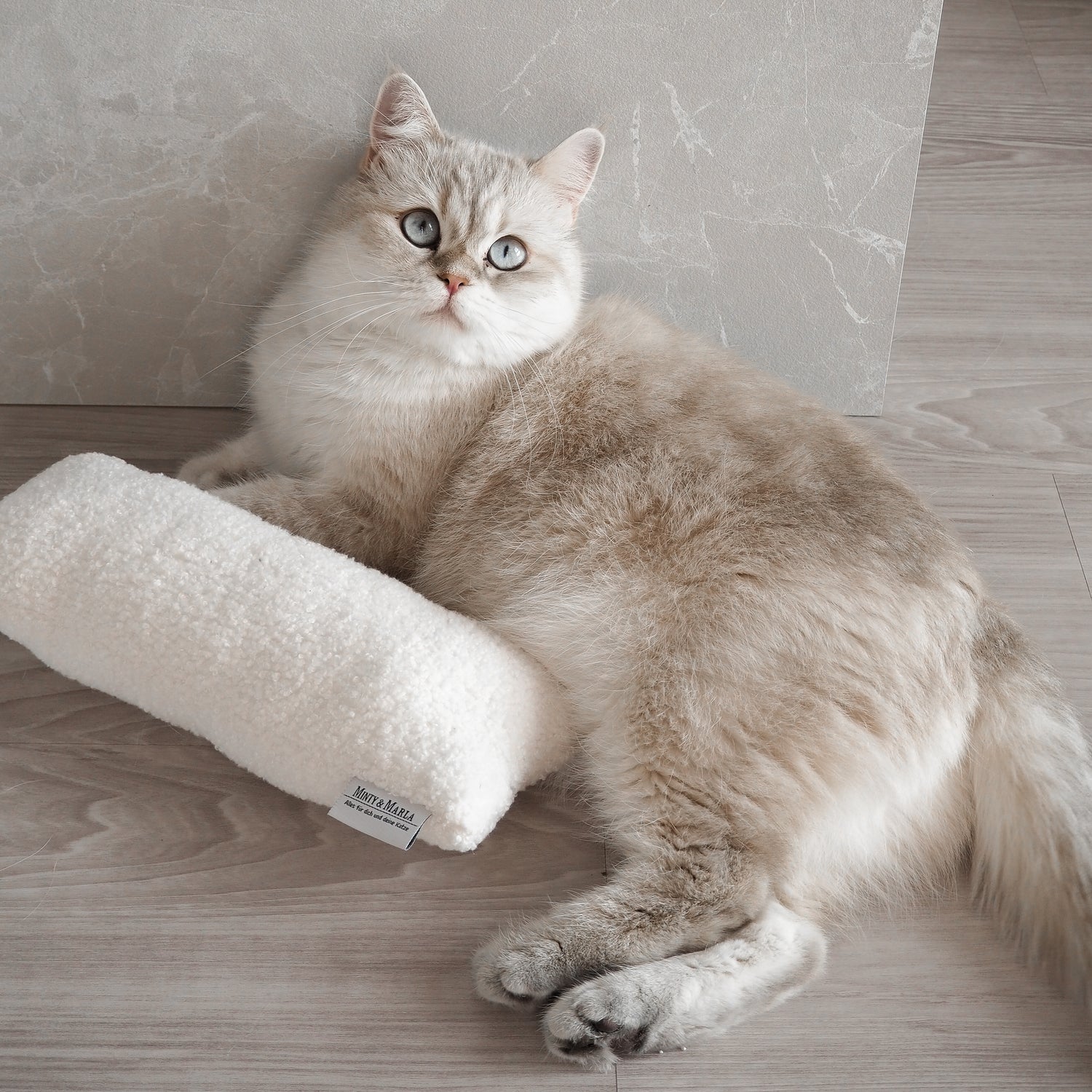 Katze liegt neben großem Katzenminze Spielkissen für Hauskatzen.
