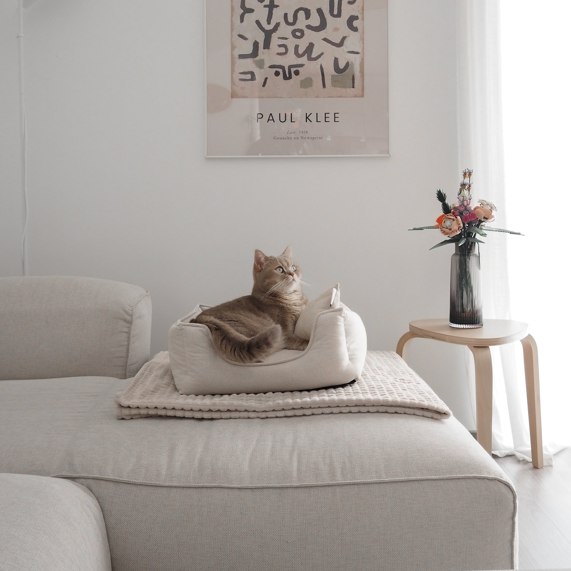 Eine Katze liegt in einem beigen Körbchen für Katzen in Leinenopritk für ein schönes Zuhause mit Katzen.