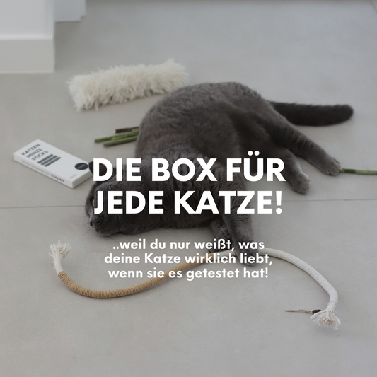 THE CRAZY CAT BOX