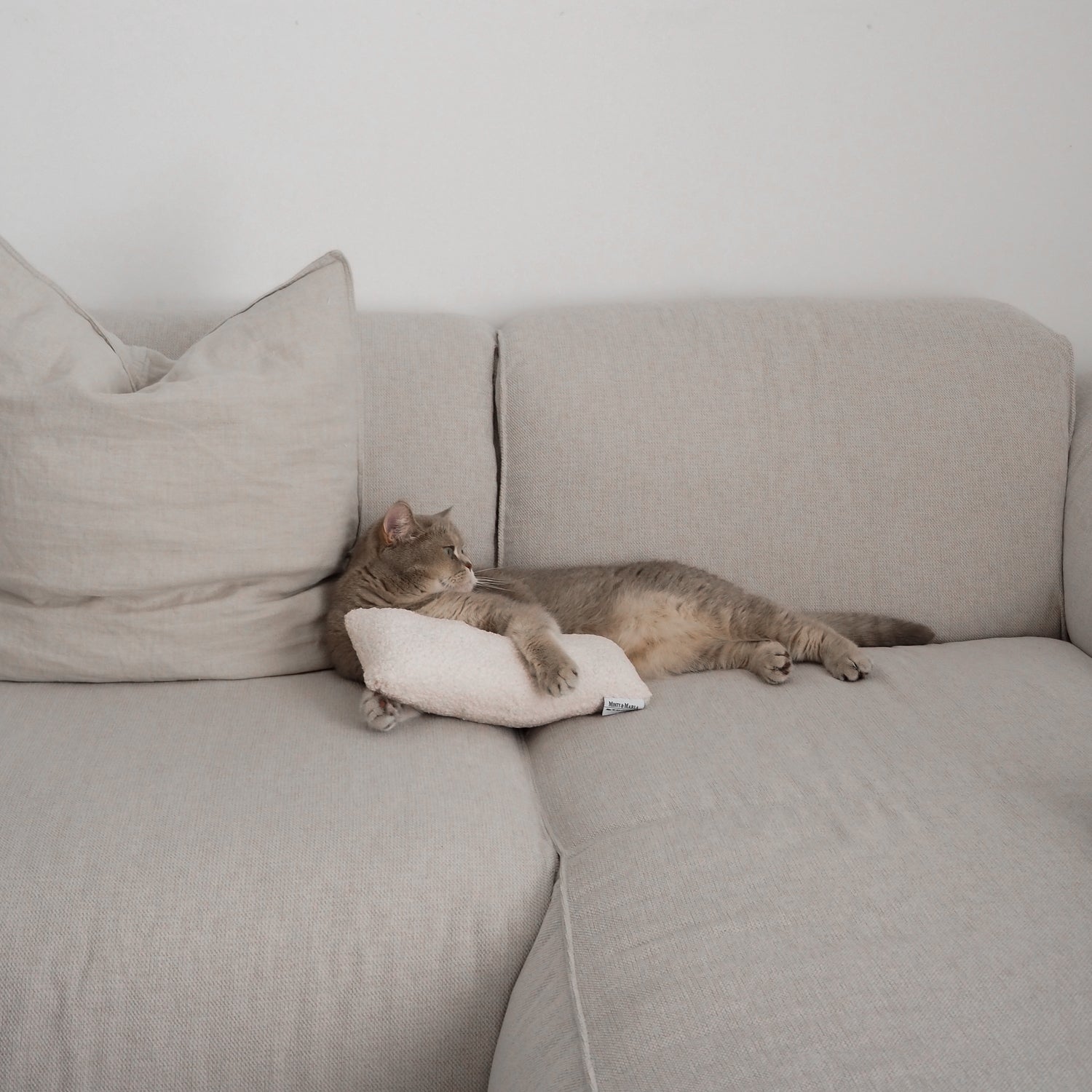 Katze liegt neben großem Katzenminze Spielkissen für Hauskatzen.