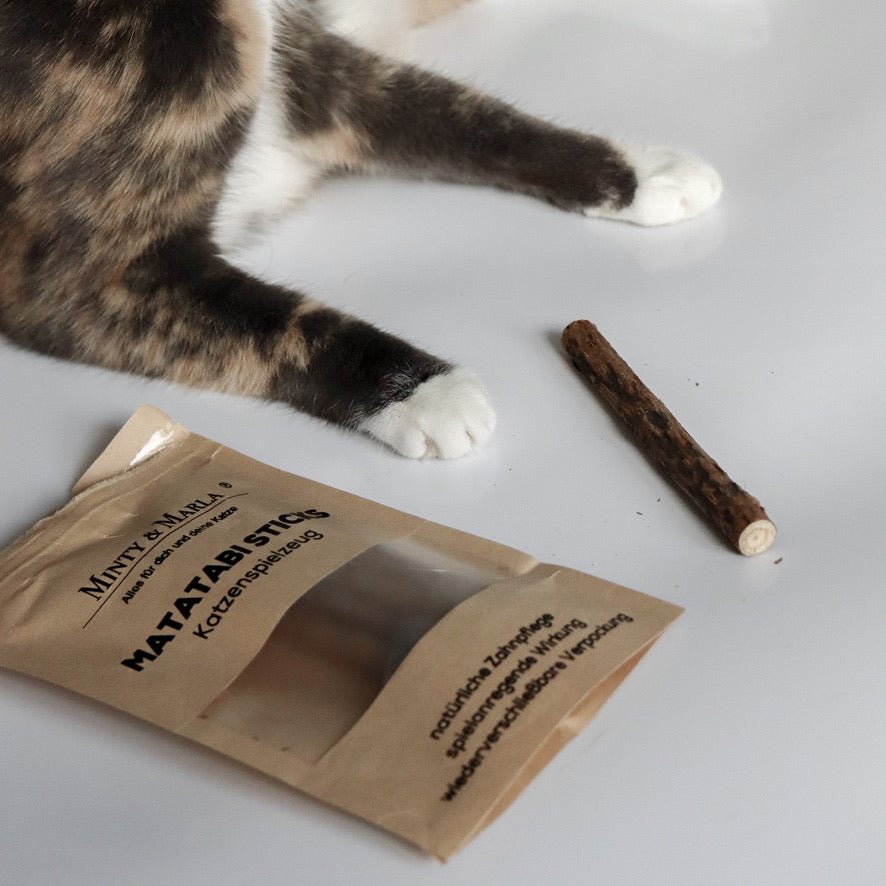 Matatabi Sticks für Katzen natürliche Zahnpflege Katzenspielzeug