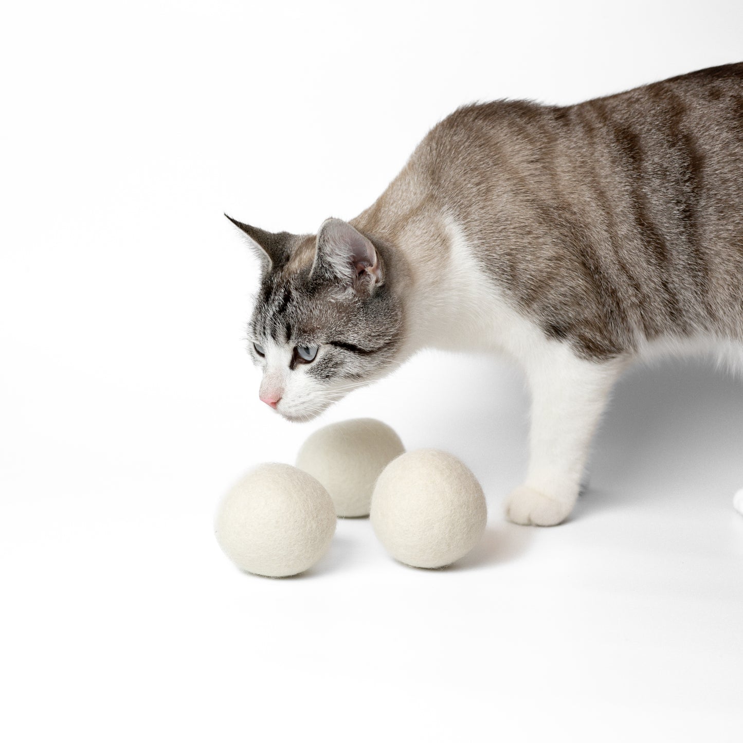 Natürliches und schönes Spielzeug für Katzen Filzbälle