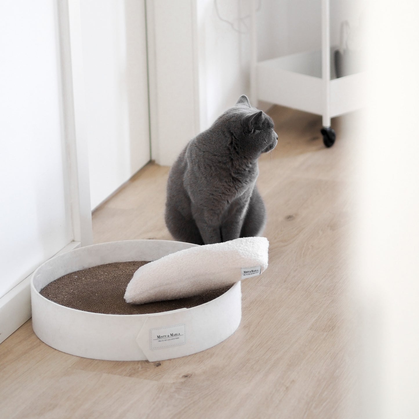 Weißes Kratzbrett für Katzen in einer modernen Wohnung mit Katzen.