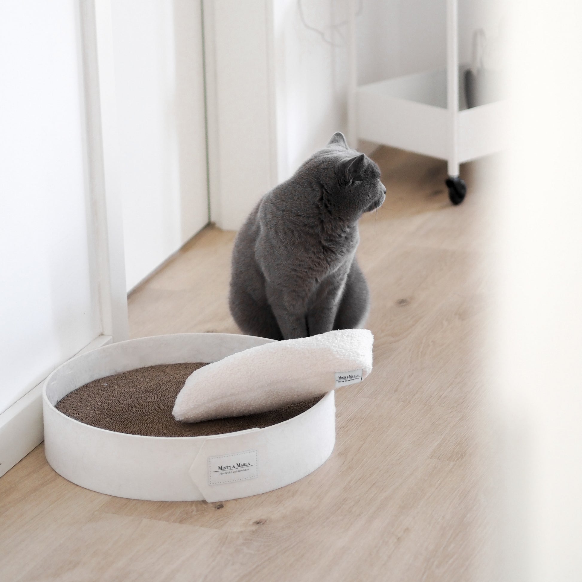 Eine Katze sitzt neben einem schönen Kratzbrett für Katzen in einer modernen Wohnung.