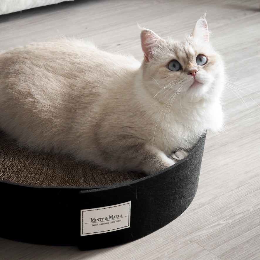 Kratzbrett für Katzen aus recycelter Wellpappe.