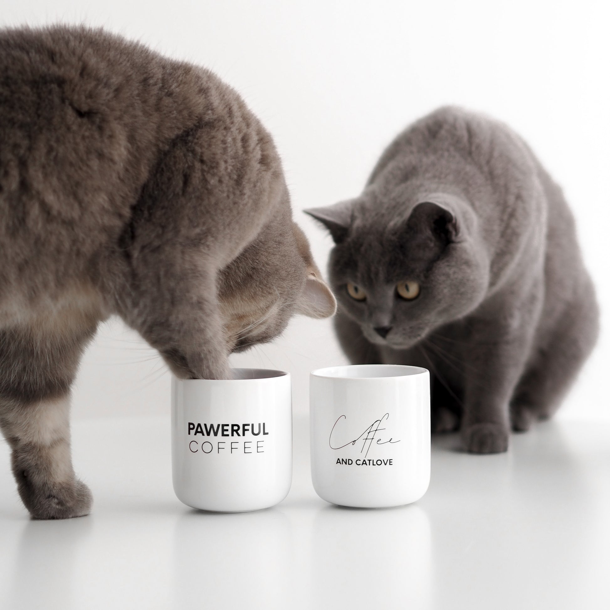 Katzen mit Tassen aus Keramik für Katzenliebhaber