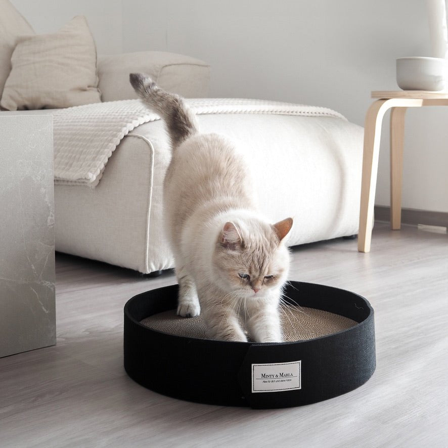 Kratzbrett für Katzen aus recycelter Wellpappe.