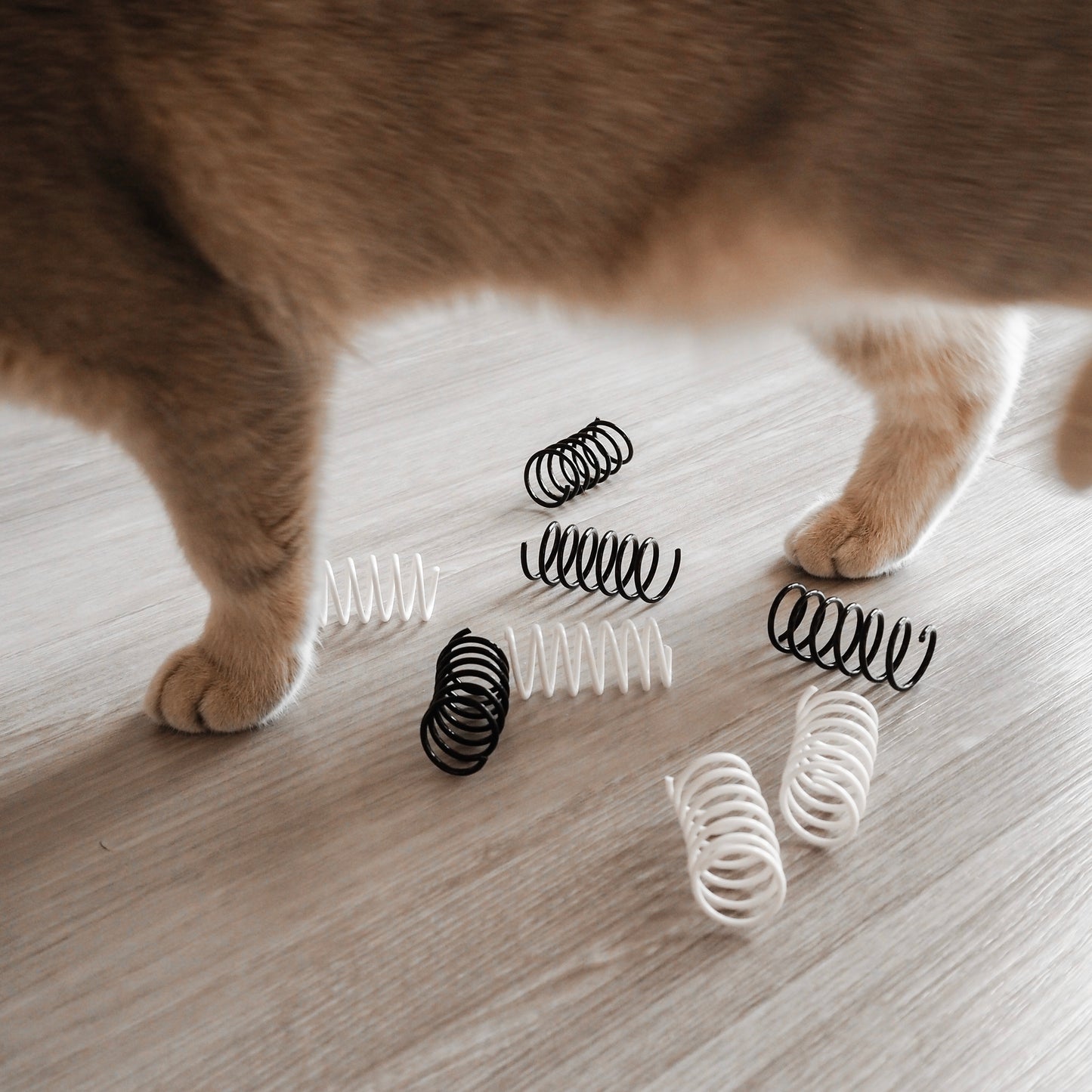 Interaktives Spiralfeder Spielzeug für Katzen in schwarz und weiß.