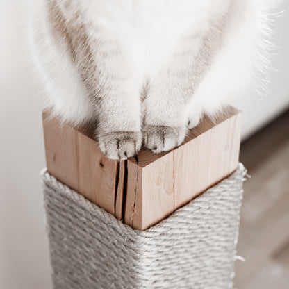 Hochwertige Kratzmöbel und Kratzsäulen für Katzen für eine stylische und moderne Wohnung.