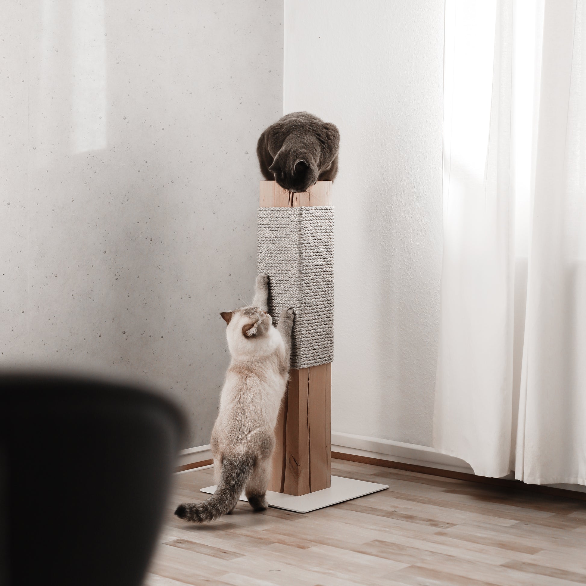 Hochwertige Kratzmöbel und Naturkratzsäulen für Katzen für eine stylische und moderne Wohnung.