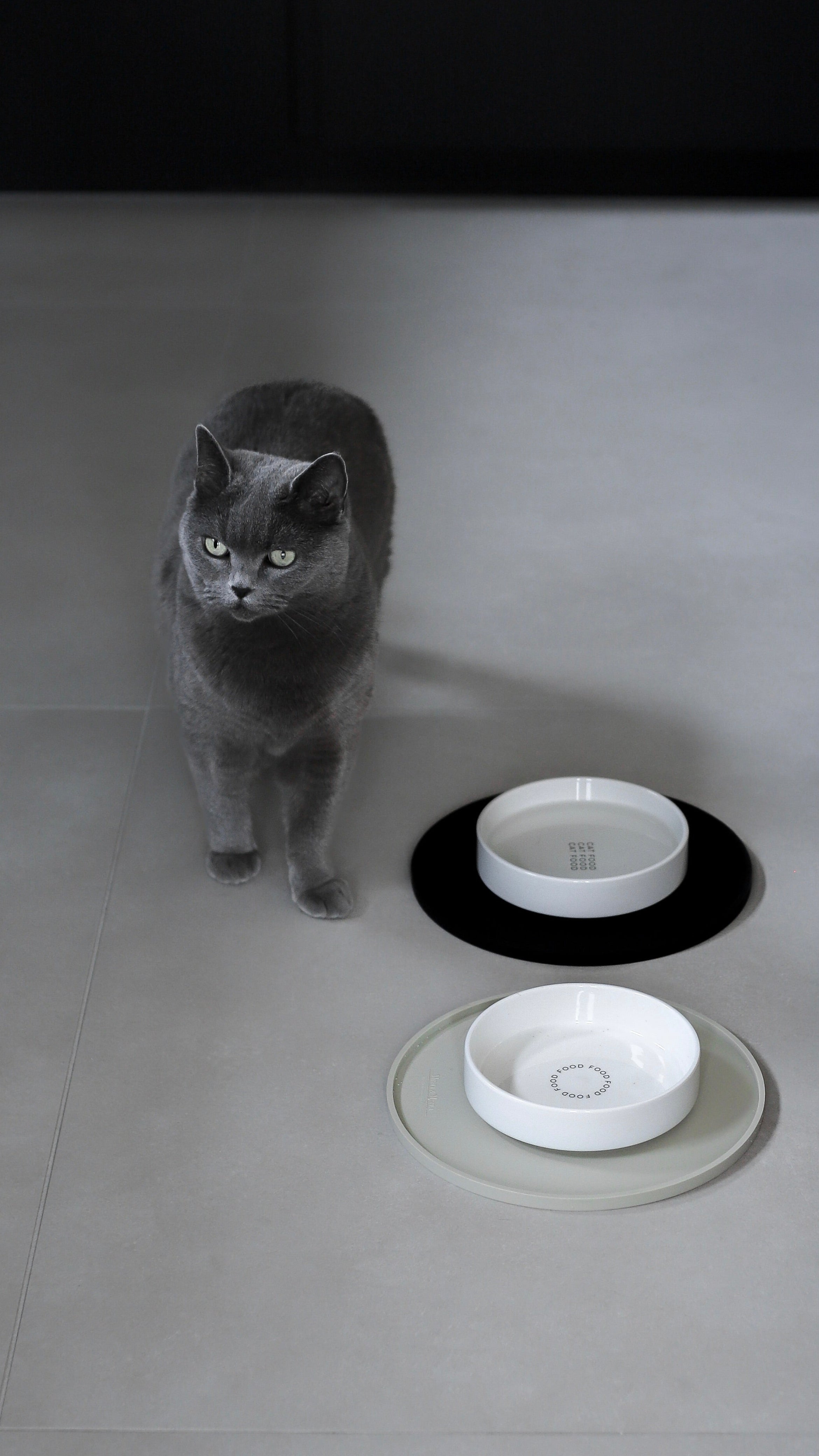 Eine Katze steht neben zwei Futterstationen mit weißem Keramiknäpfen in einer modernen Küche