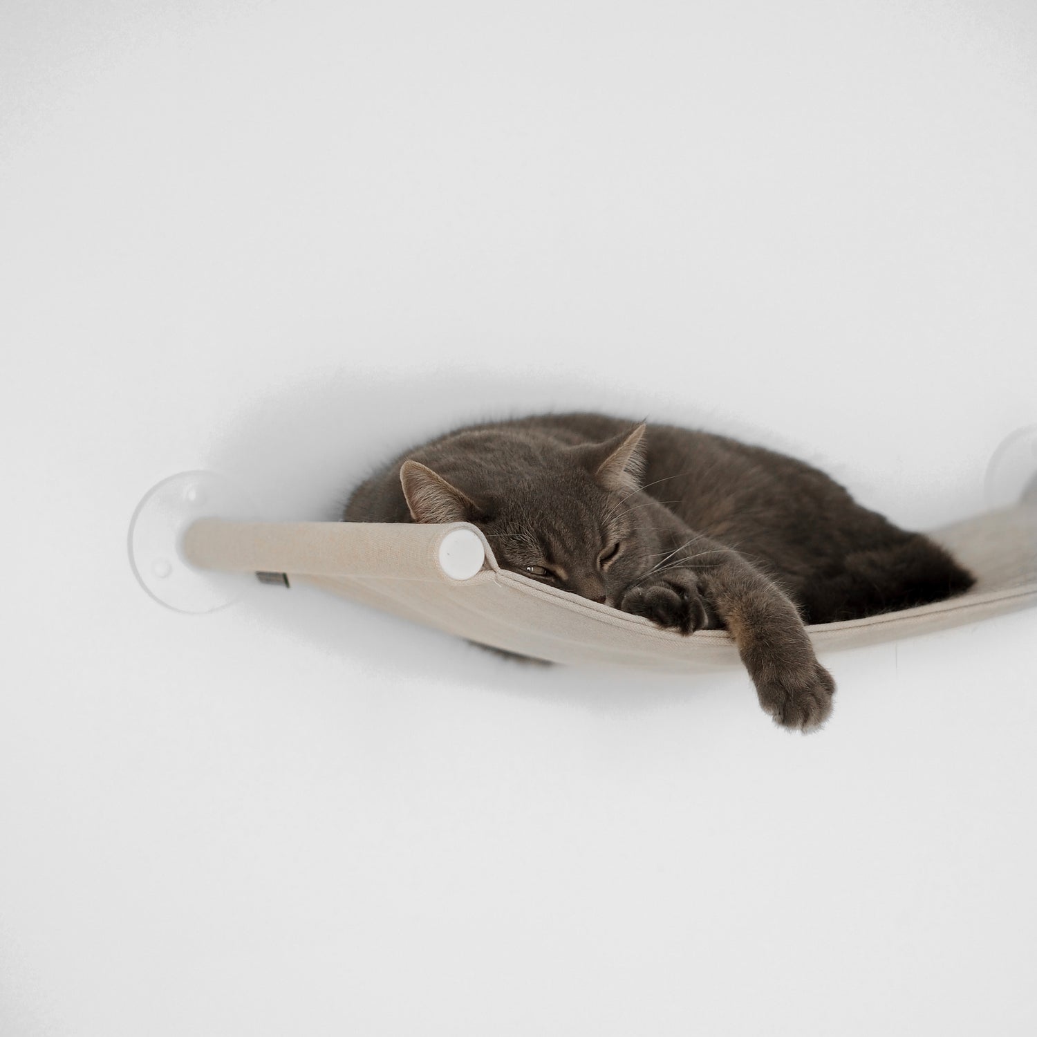 Katzenwand, Wandliege für Katzen mit schlichter Aufhängung und gemütlicher Hängematte.
