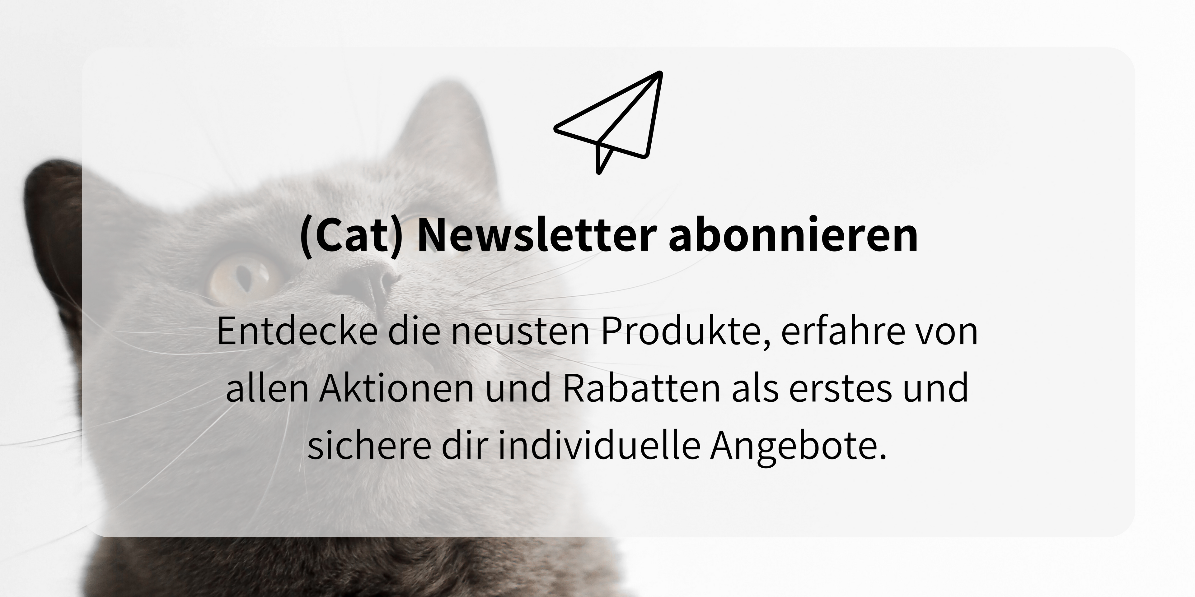Newsletter Anmeldung für schöne Katzenprodukte, Infos zu Aktionen und Rabatten bei Minty & Marla.