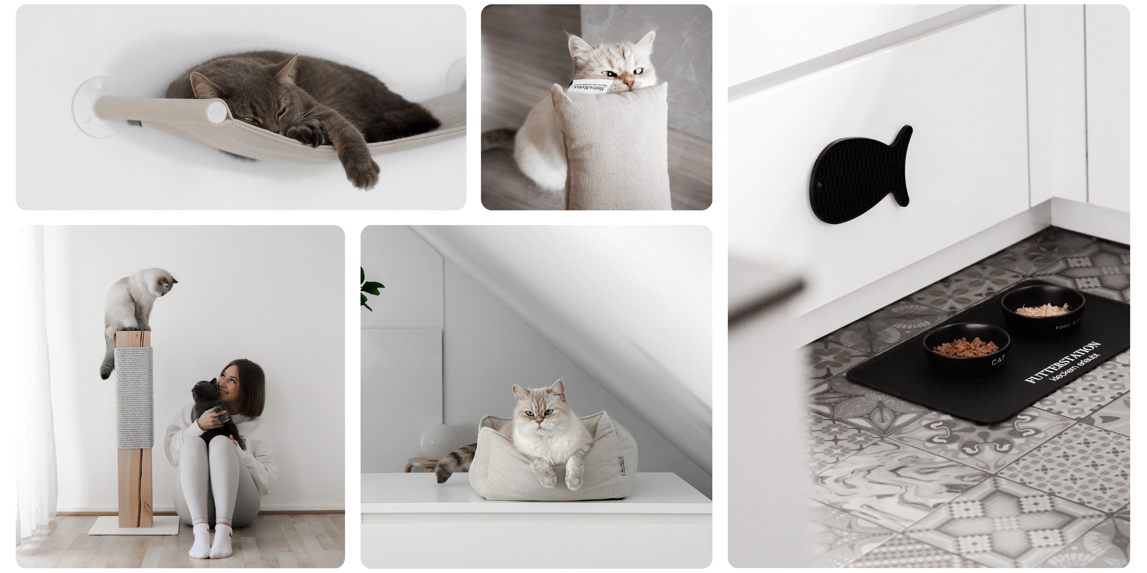 Schöne und stylische Produkte für ein modernes Zuhause mit Katzen.