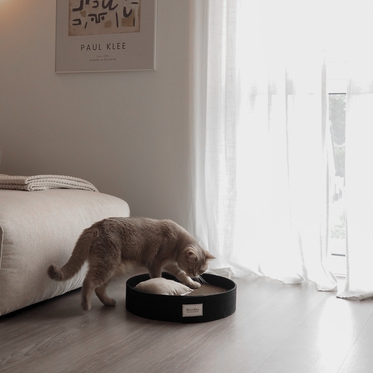 Kratzbrett für Katzen für ein schöne Zuhause mit Katze.