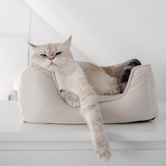 Eine Katze liegt in einem beigen Körbchen für Katzen in Leinenopritk für ein schönes Zuhause mit Katzen.