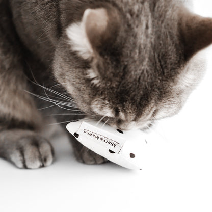 Katze spielt mit Katzenspielzeug aus natürlicher Katzenminze.