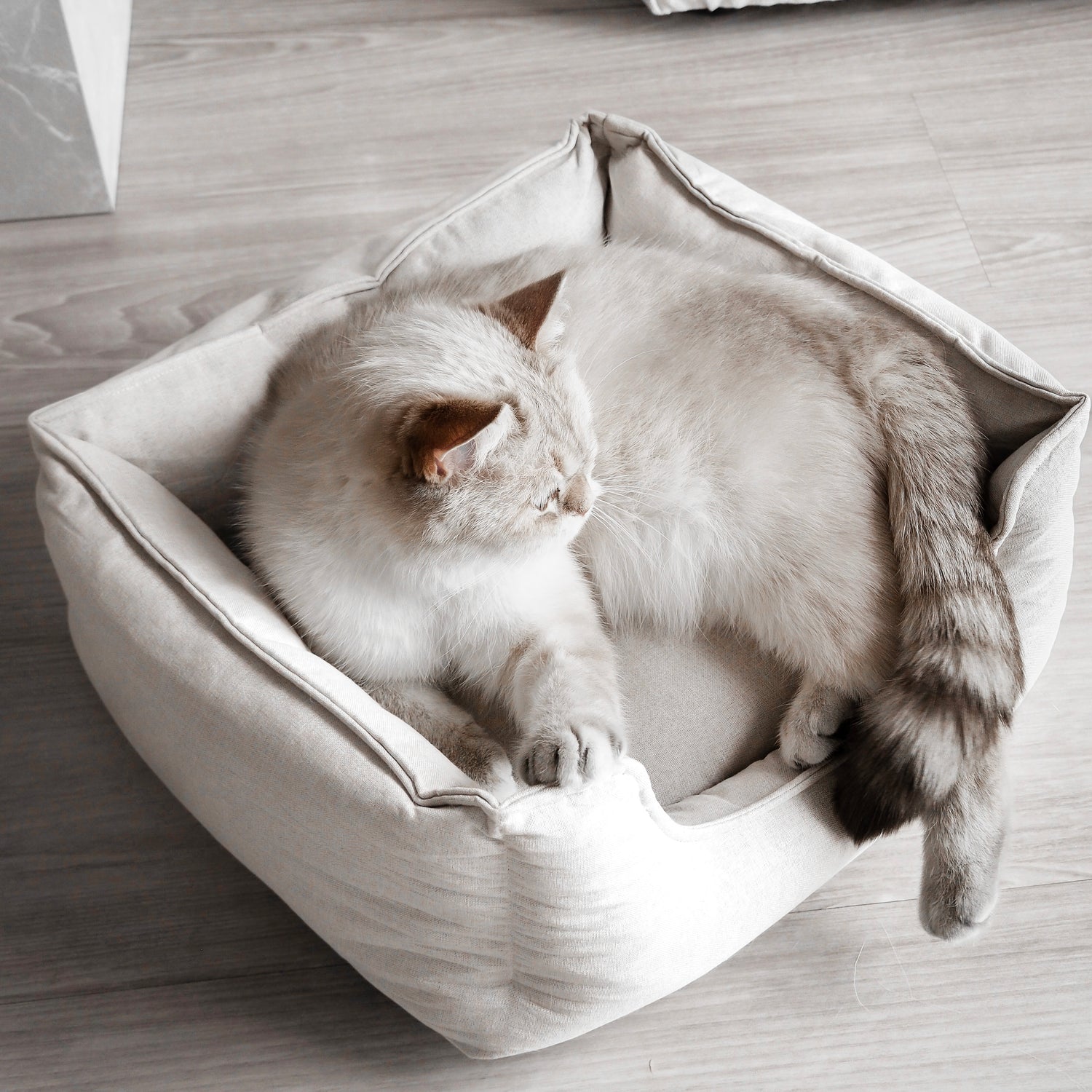 Im Katzenbett "LINEN" liegt eine Katze und genießt ihr neues Körbchen als gemütlichen Rückzugsort.