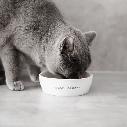 Eine Katze isst Katzenfutter aus einem weißen Napf aus Keramik.