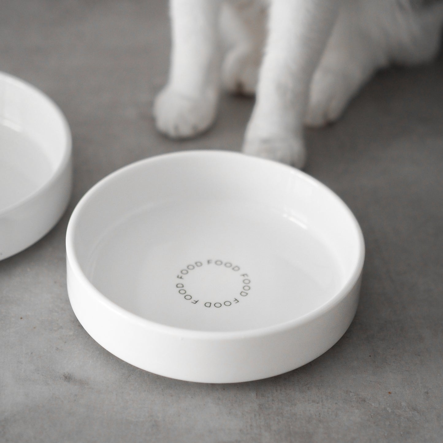 Flacher, artgerechter Futternapf für Katzen aus weißem Keramik.