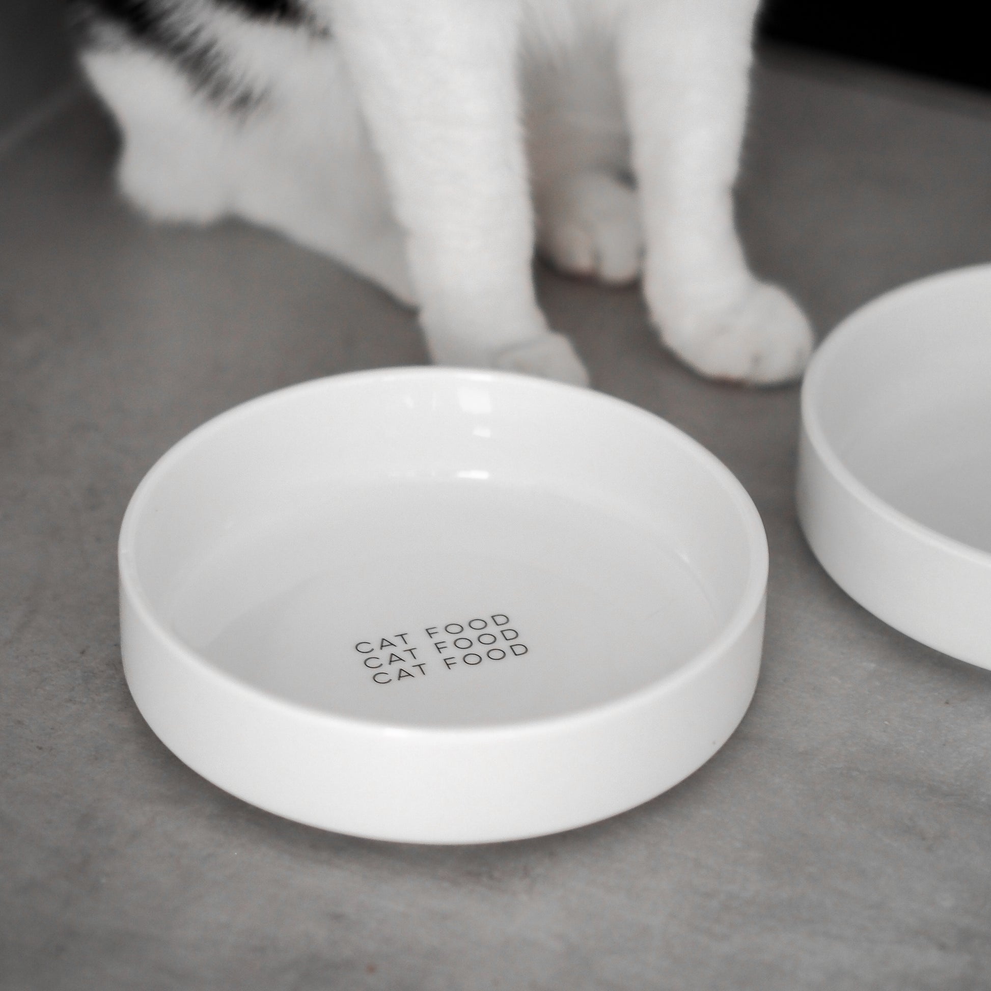 Keramiknapf für Katzen mit flachem Rand auf einer Küchenzeile