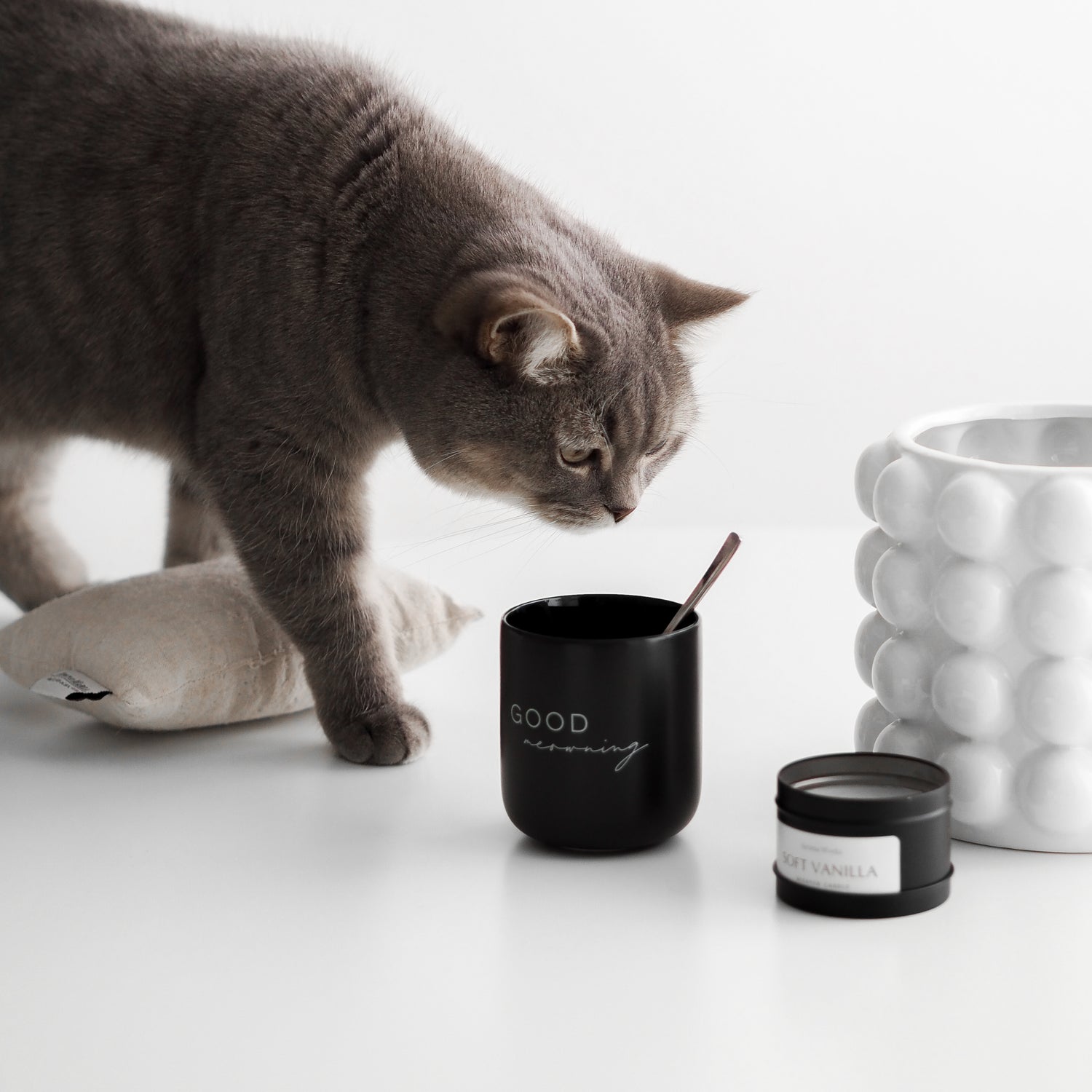 Keramiktasse mit Aufdruck für Catlover, einem Baldriankissen und einer Katze auf dem Tisch