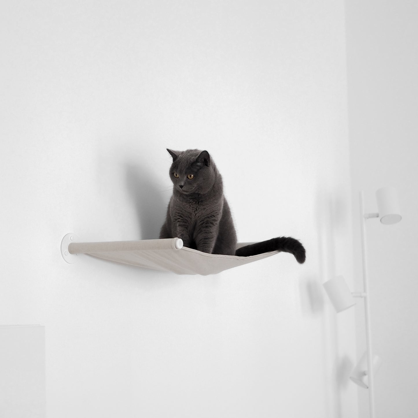  Eine Katze sitzt auf einer beigen, schönen Hängematte für Katzen.