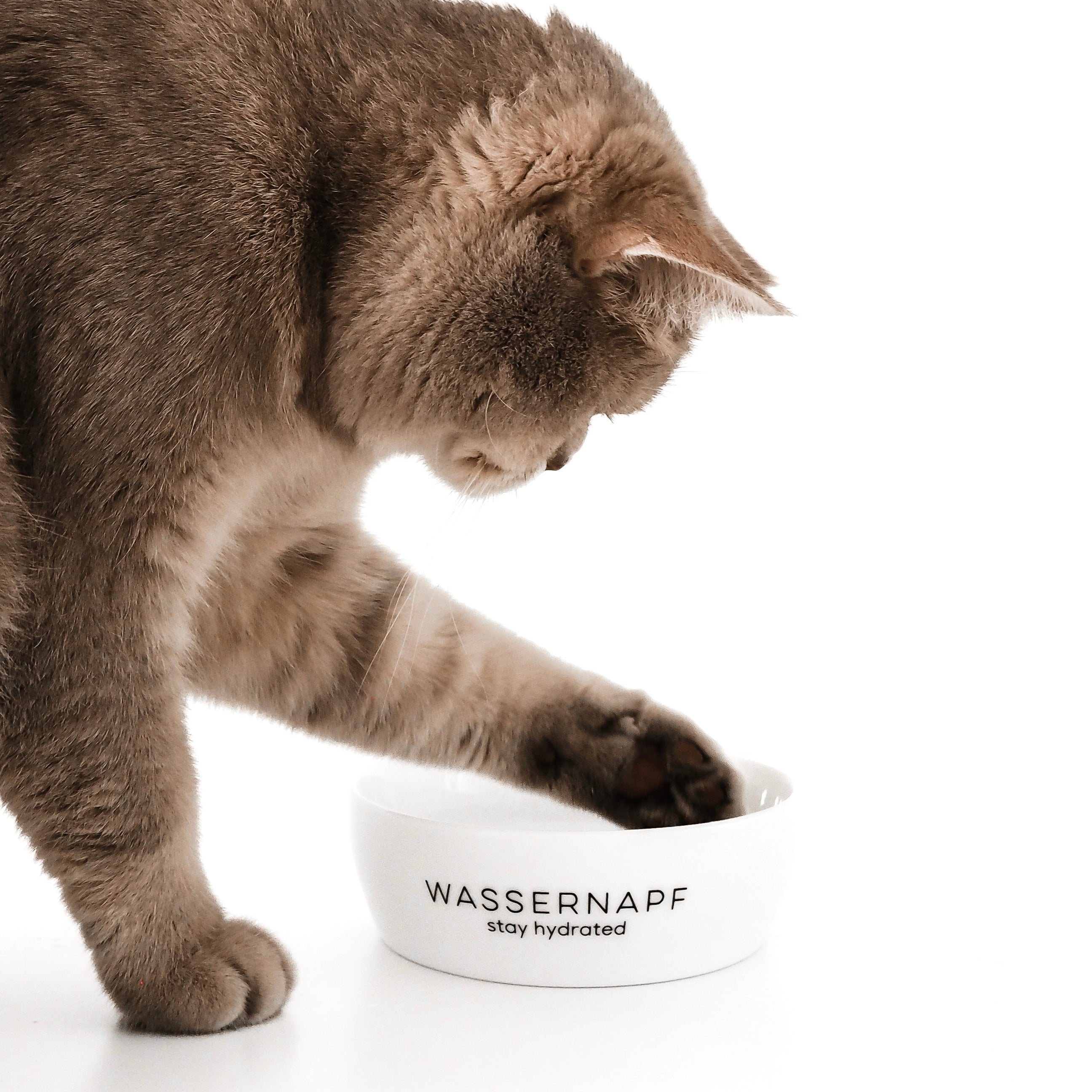 Wassernapf Napf für Katzen aus Keramik