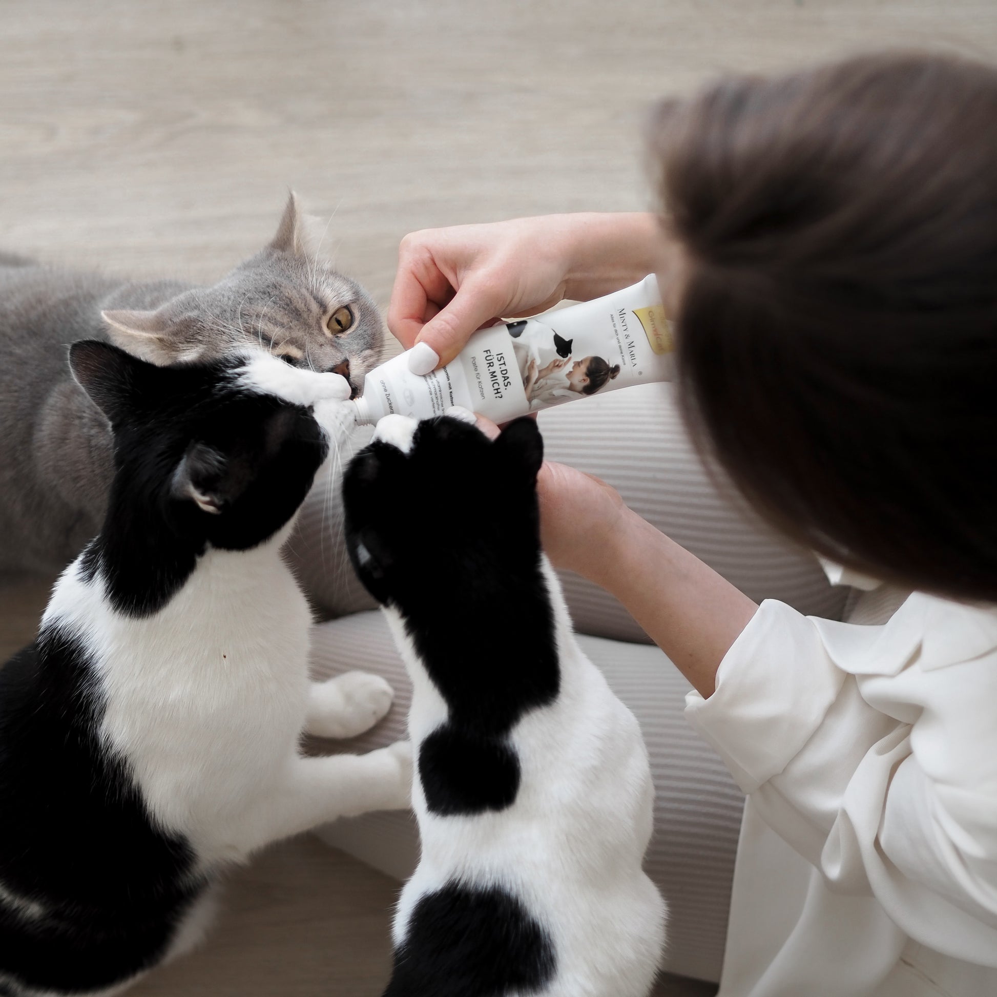 Leckerlie Paste für Katzen, Katzenfutter für Katzen, Katzensnack mit Katzenminze