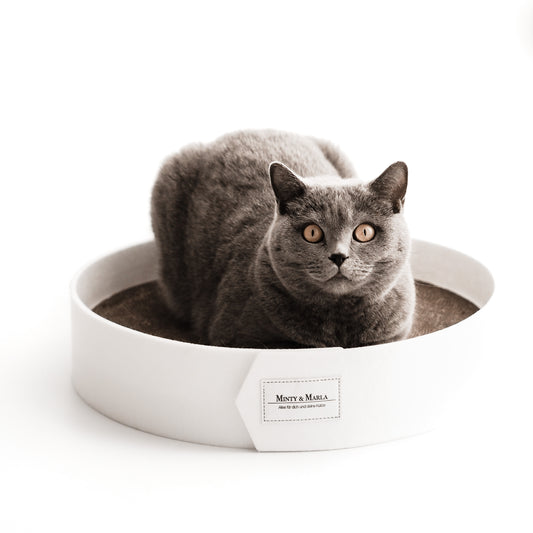 Eine graue Katze liegt in einem weißen runden Kratzbrett für Katzen aus Filz.