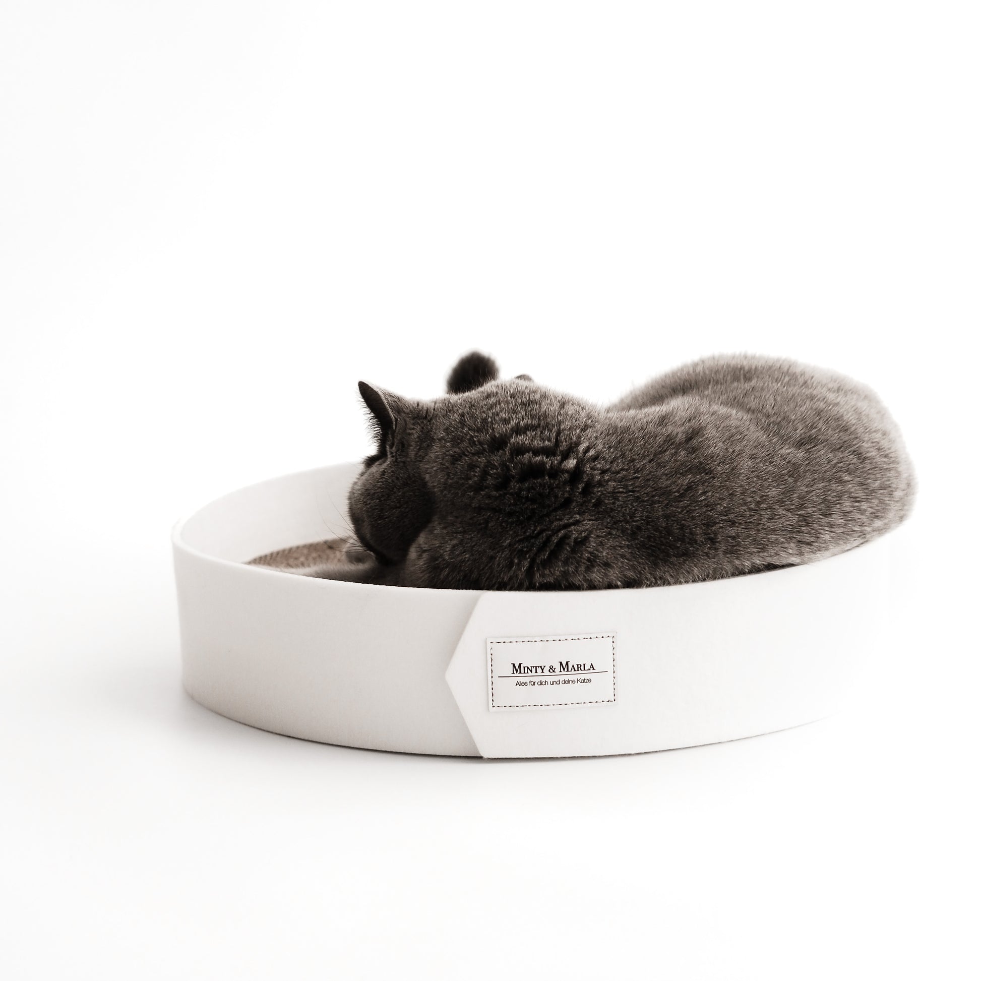 Eine graue Katze liegt auf einem weißen Kratzbrett aus Filz.