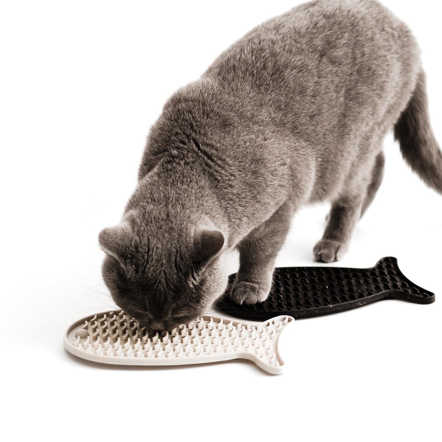 Eine Katze schleckt an einer beigen und einer schwarzen Schleckmatte.