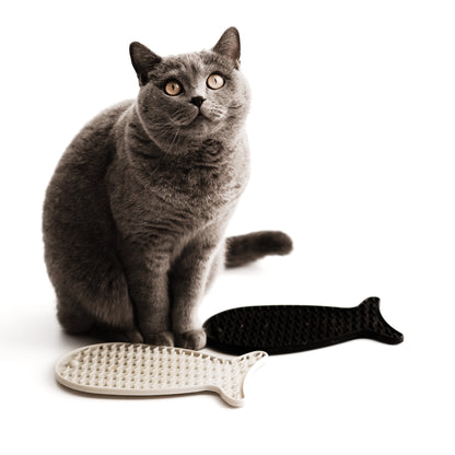 Eine Katze schleckt an einer beigen und einer schwarzen Schleckmatte.