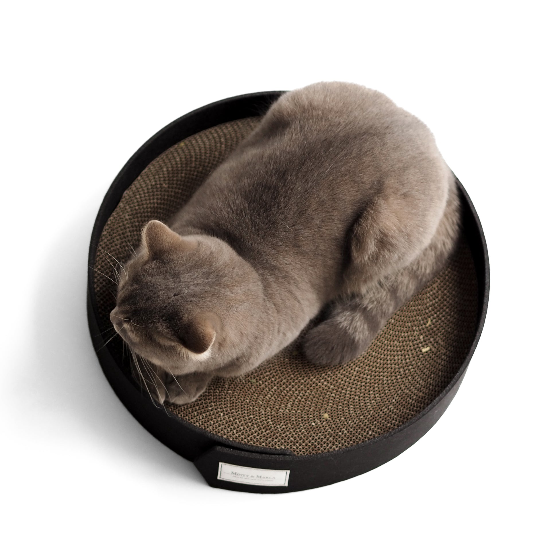 Eine Katze liegt in einem Kratzbrett mit schwarzer Filzumrandung.