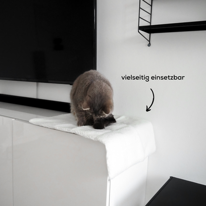 Katzendecke in einer modernen Wohnung, auf der eine Katze sich putzt