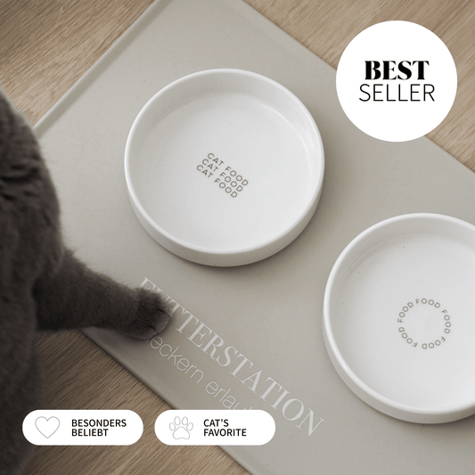 Schöner Futterplatz für Katzen bestehend aus Näpfen und Napfunterlage