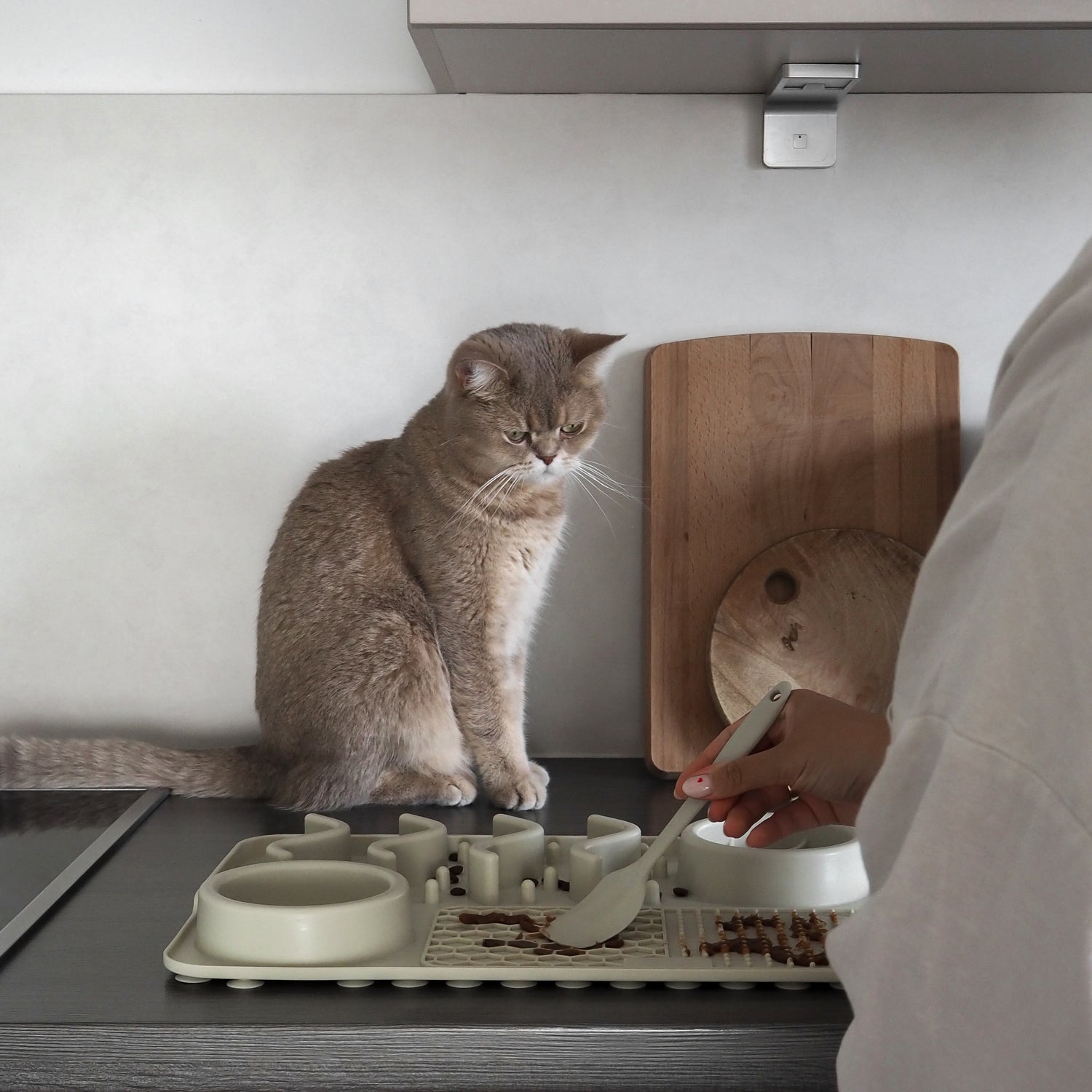 Auf einer Küchenzeile liegt ein beiges Fummelbrett neben dem eine Katze sitzt währenddessen eine Frau die Snacks vorbereitet.