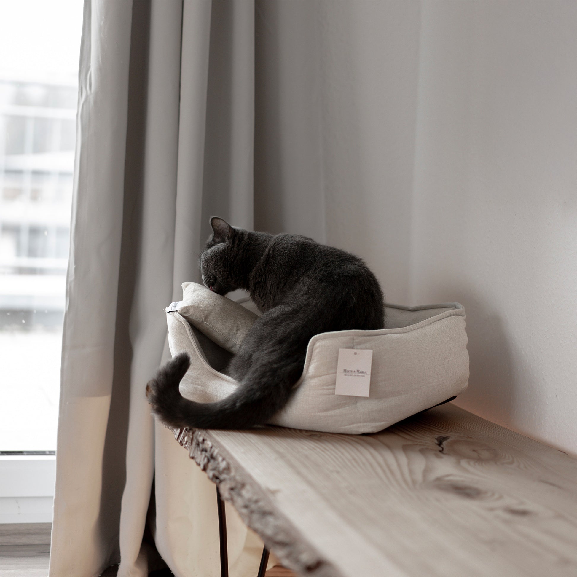 Stylisches Körbchen für Katzen für ein schönes Zuhause mit Katzen